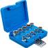 Jeu de Douilles Six Pans 12,5 mm (1/2 ) - 10 Pièces - Acier Résistant - Polyvalence et Durabilité - BGS
