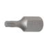 Douille à Embouts 10 mm (3/8) - Profil Torx T25 - Précision et Robustesse, Acier - D-Work