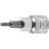 Douille à Embouts 10 mm (3/8) Profil Torx T50 - Précision et Robustesse, Acier - D-Work
