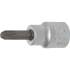 Douille à Embouts 10 mm (3/8) Cruciforme PH1 Précision et Robustesse, Acier - D-Work