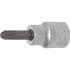 Douille à Embouts 10 mm (3/8 ) Cruciforme PH3 Précision et Robustesse - BGS