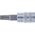 Douille à Embouts 6,3 mm (1/4) Profil Torx T30 - Acier Résistant - Précision et Durabilité - D-Work