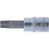 Douille à Embouts 6,3 mm (1/4) Profil Torx T40 - Précision et Robustesse, Acier - D-Work