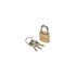 Cadenas en Laiton 50 mm - Résistant et Sécurisé - - BGS