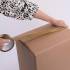 Bande Adhésive d Emballage Marron 50 mm x 50 m - Résistante et Pratique pour Scellage - BGS