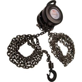 Palan à Chaîne 1 T - Hauteur de Levage 2,5 m - Robuste et Sécurisé - BGS