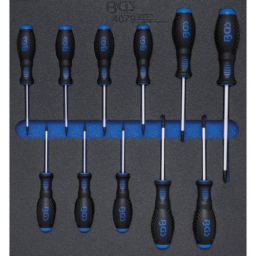 Insert de Servante d Atelier 11 Pièces - Tournevis Profil T Torx T6-T40 - Organisation et Accessibilité Optimale - BGS