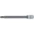 Douille à Embouts 100 mm - 6,3 mm (1/4), Profil Torx T30 Percé - Précision et Durabilité, Acier - D-Work