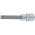 Douille à Embouts 100 mm - 12,5 mm (1/2) Profil Torx T55 - Précision et Robustesse, Acier - D-Work