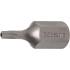 Embout Torx T15 30 mm x 10 mm (3/8) - Profil T avec Perçage - Précision et Durabilité, Acier - D-Work