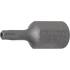 Embout Torx T20 30 mm - Profil T 10 mm (3/8 ) - Perçage - Précision et Durabilité - BGS