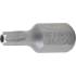 Embout Torx T30 10 mm x 30 mm - Profil T avec Perçage - Précision et Durabilité, Chrome-Vanadium - D-Work