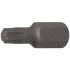 Embout Torx T40 30 mm - Profil T 10 mm (3/8 ) - Perçage pour vissage précis - - BGS