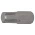 Embout M10 Profil Cannelé 10 mm (3/8) - L. 30 mm - Compatible RIBE - Précision et Robustesse, Acier - D-Work