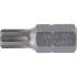 Embout 30 mm 10 mm (3/8) Profil Cannelé M12 - Précision et Compatibilité RIBE, Acier - D-Work