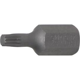 Embout 30 mm 10 mm (3/8) - Denture Multiple Intérieure XZN M5 - Précision et Durabilité, Acier - D-Work