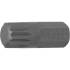 Embout M12 30 mm - Denture Multiple Intérieure XZN - Précision et Durabilité - BGS