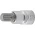 Embout M12 30 mm - Denture Multiple Intérieure XZN - Précision et Durabilité - BGS