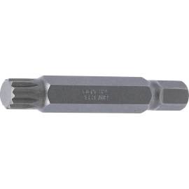 Embout 75 mm 10 mm (3/8) - Denture Multiple Intérieure XZN M12 - Précision et Durabilité, Acier - D-Work