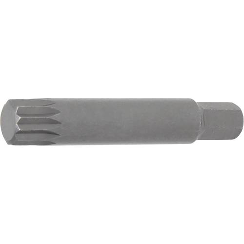 Embout M14 75 mm - Denture Multiple Intérieure XZN 10 mm (3/8 ) - Précision et Durabilité - BGS