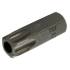 Embout T10 Torx 30 mm x 10 mm (3/8) - Précision et Durabilité, Acier, Pro - D-Work
