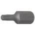 Embout T15 Torx 10 mm (3/8) - L. 30 mm - Précision et Durabilité, Acier - D-Work