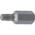 Embout T30 Torx 10 mm x 30 mm - - Précision et Durabilité - BGS