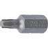 Embout T30 Torx 10 mm x 30 mm - Précision et Durabilité, Acier - D-Work