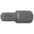 Embout T45 Torx 10 mm x 30 mm - Profil T, Précision et Durabilité - Acier, Zones Difficiles - D-Work