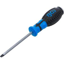 Tournevis Fente 6 mm - Lame 100 mm - Acier, Manche Ergonomique - Précision et Confort - BGS