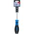 Tournevis Fente 6 mm - Lame 100 mm - Acier, Manche Ergonomique - Précision et Confort - BGS