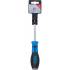 Tournevis Cruciforme PH2 100 mm - Acier, Manche Ergonomique - Précision et Confort d Utilisation - BGS