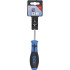 Tournevis Cruciforme PZ1 75 mm - Acier, Manche Ergonomique - Précision et Confort d Utilisation - D-Work