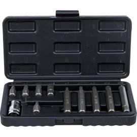 Jeu d Embouts 11 pcs 10 mm (3/8) Polygone Femelle XZN Précision et Polyvalence, Acier, Pro - D-Work