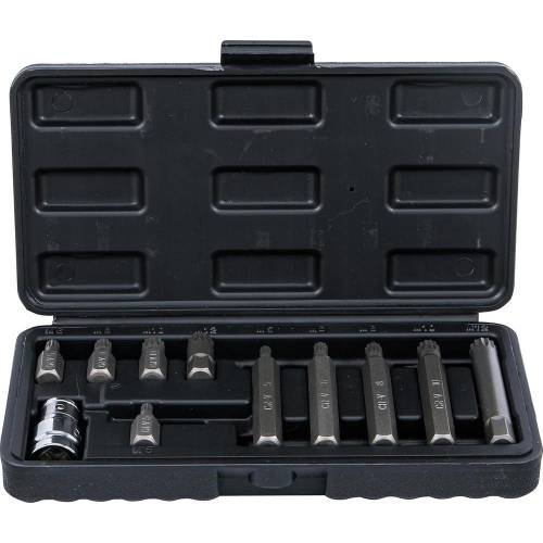 Jeu d Embouts 11 pcs 10 mm (3/8) Polygone Femelle XZN Précision et Polyvalence, Acier, Pro - D-Work