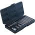 Jeu d Embouts 15 pcs 10 mm (3/8) Profil en T Torx - Précision et Polyvalence, Acier - D-Work