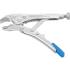 Pince Étau Extra Courte 100 mm - Acier, Précision et Maniabilité - - BGS