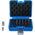 Jeu d Embouts Profil TS Torx Plus 23 pcs - Précision et Durabilité - BGS