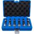 Jeu de Douilles et Embouts Extra Courts Profil T Torx T8-T60 - 12 pcs - Précision et Accessibilité - D-Work