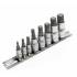 Jeu de Douilles et Embouts Denture Multiple Intérieure XZN M4-M16 - 8 pcs - Précision et Polyvalence - D-Work