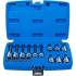 Jeu de Douilles et Embouts 18 pcs - Profil T Torx avec Perçage - Polyvalent et Pratique, Acier - D-Work
