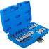 Jeu de Douilles et Embouts 18 pcs - Profil T Torx avec Perçage - Polyvalent et Pratique, Acier - D-Work