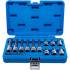 Jeu de Douilles et Embouts 18 Pièces - 6,3 mm (1/4 ) 12,5 mm (1/2 ), Profil T Torx Plus - Polyvalent et Précis - BGS