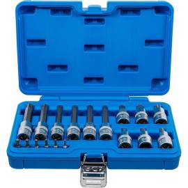 Jeu de Douilles et Embouts 18 Pièces - 6,3 mm (1/4 ) 12,5 mm (1/2 ), Profil T Torx Plus - Polyvalent et Précis - BGS
