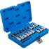 Jeu de Douilles et Embouts 18 Pièces - 6,3 mm (1/4 ) 12,5 mm (1/2 ), Profil T Torx Plus - Polyvalent et Précis - BGS