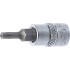 Douille à Embouts 6,3 mm (1/4) Profil TS Torx Plus - Perçage TS15 - Précision et Fiabilité, Acier - D-Work