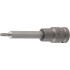 Douille à Embouts à Choc 100 mm - 12,5 mm (1/2), Profil Torx T25 - Résistante et Précise, Acier - D-Work
