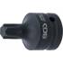 Douille à Embouts de Puissance 60 mm - 20 mm (3/4 ), Profil Torx T65 - Précision et Robustesse - BGS