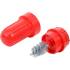 Brosse de Nettoyage Pôles et Bornes de Batterie 85 mm - Nylon Résistant - Entretien et Protection Efficace - D-Work