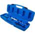 Kit de Démontage d’Écrous Antivol BMW MINI - 10 Pièces - Outils Précis et Sécurisés - BGS